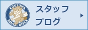 スタッフ情報